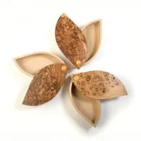 Leaf Box, view 2