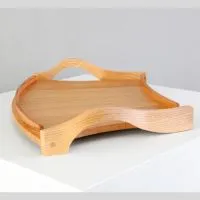Tray & Pegs, view 4