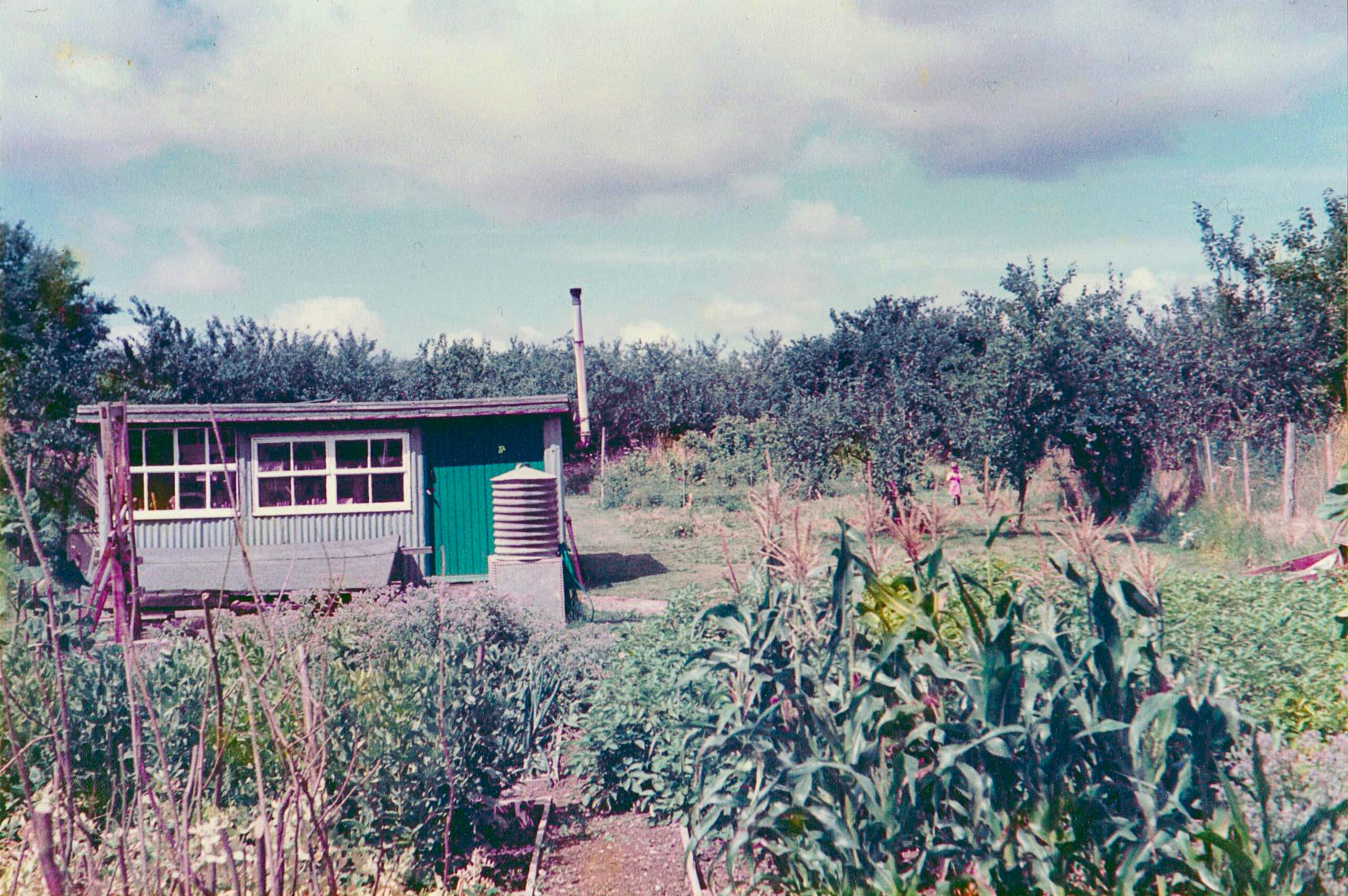 Albany Workshops — Matthew Burt's original corrugated iron shed