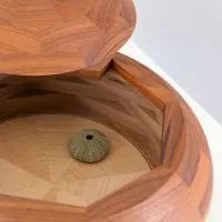 Sea Urchin Box, view 3